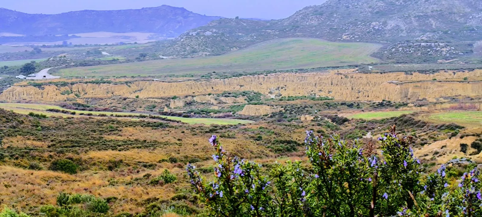 Excursión entre Piedratajada y Valpalmas organizada por la Universidad de Zaragoza. Foto Joaquín Santafé