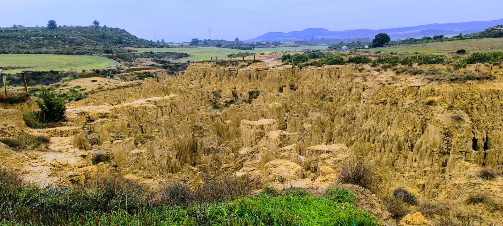 Excursión entre Piedratajada y Valpalmas organizada por la Universidad de Zaragoza. Foto Joaquín Santafé