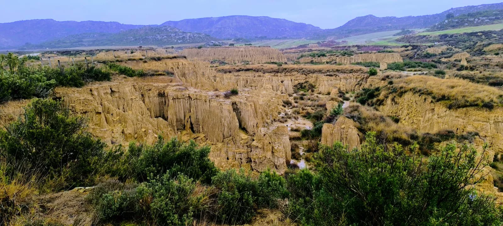 Excursión entre Piedratajada y Valpalmas organizada por la Universidad de Zaragoza. Foto Joaquín Santafé