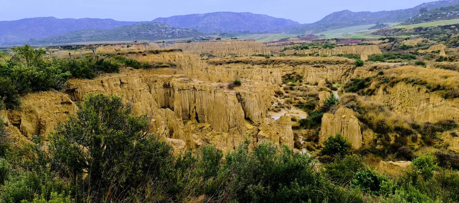Excursión entre Piedratajada y Valpalmas organizada por la Universidad de Zaragoza. Foto Joaquín Santafé