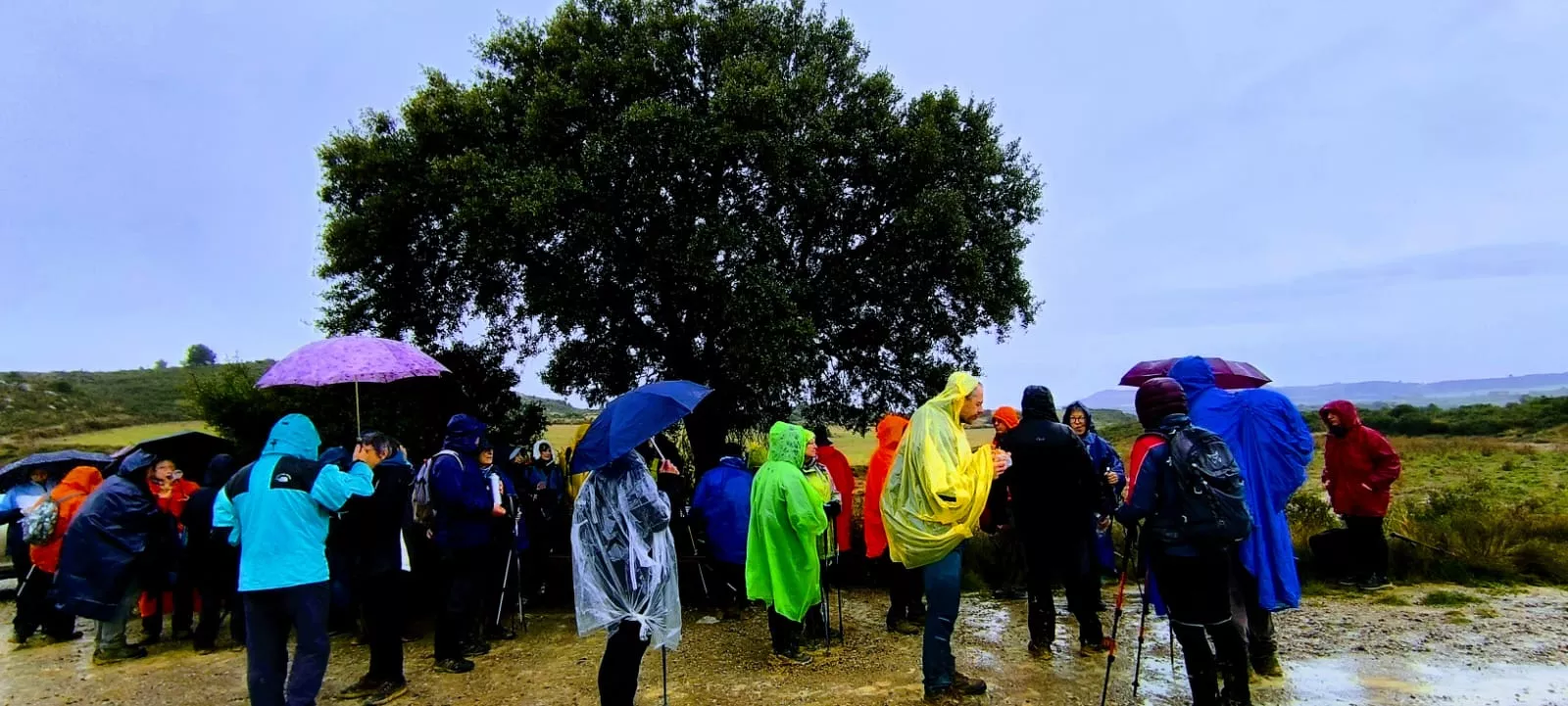 Excursión entre Piedratajada y Valpalmas organizada por la Universidad de Zaragoza. Foto Joaquín Santafé