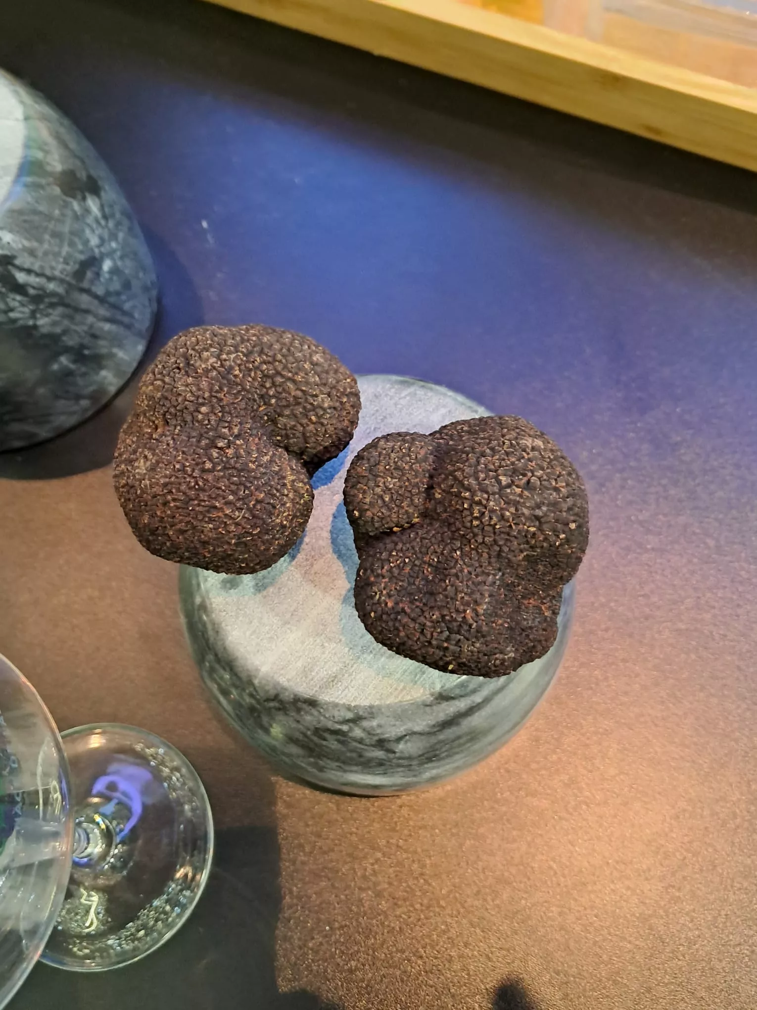 Trufa negra de Aragón