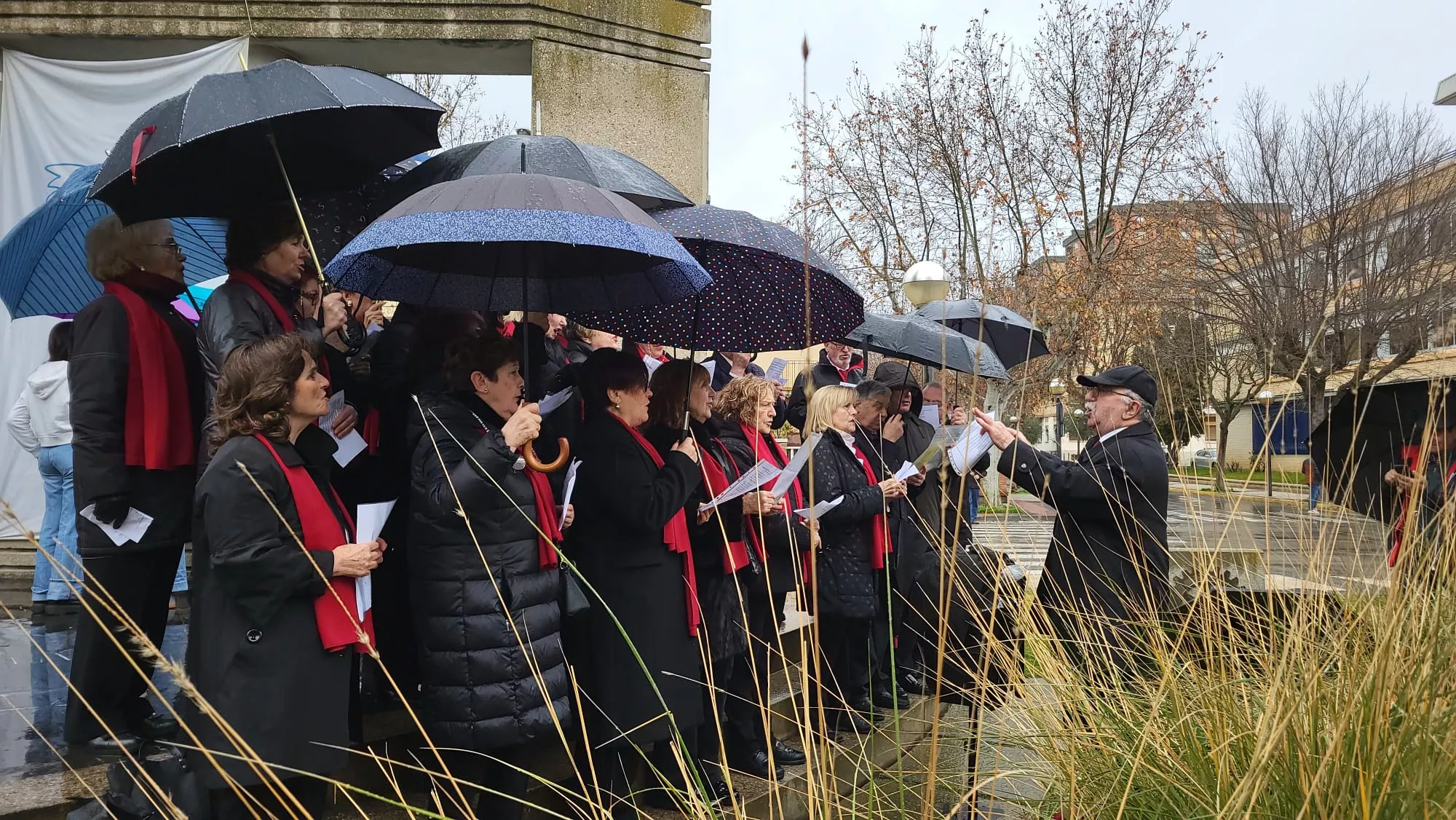 Día Escolar de la Paz y la No Violencia en Huesca