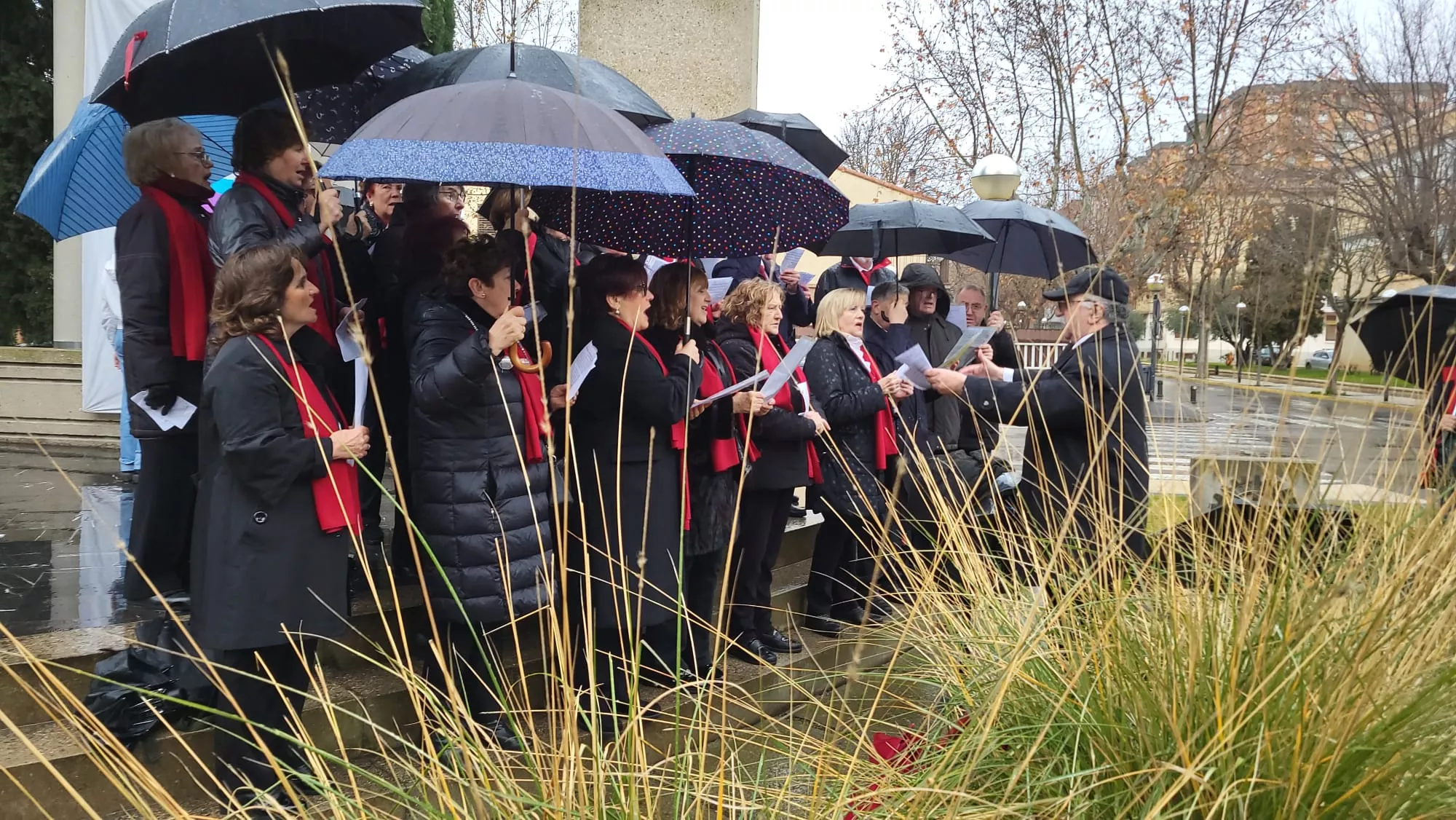 Día Escolar de la Paz y la No Violencia en Huesca