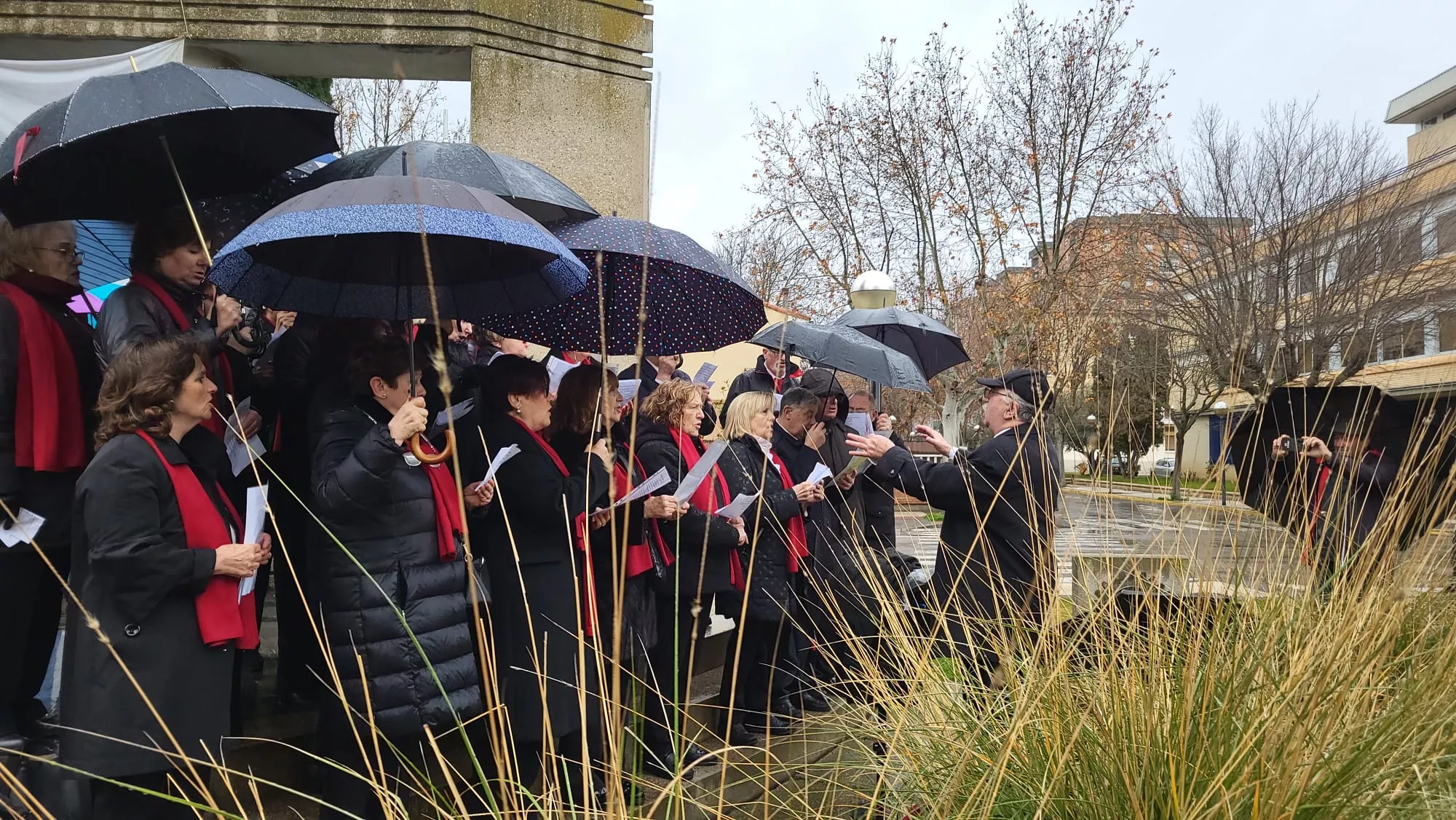 Día Escolar de la Paz y la No Violencia en Huesca