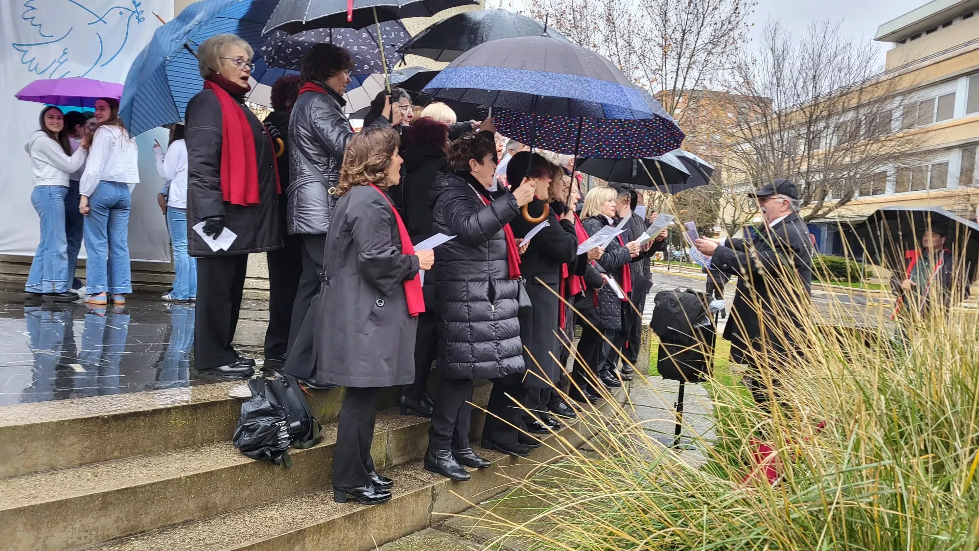 Día Escolar de la Paz y la No Violencia en Huesca