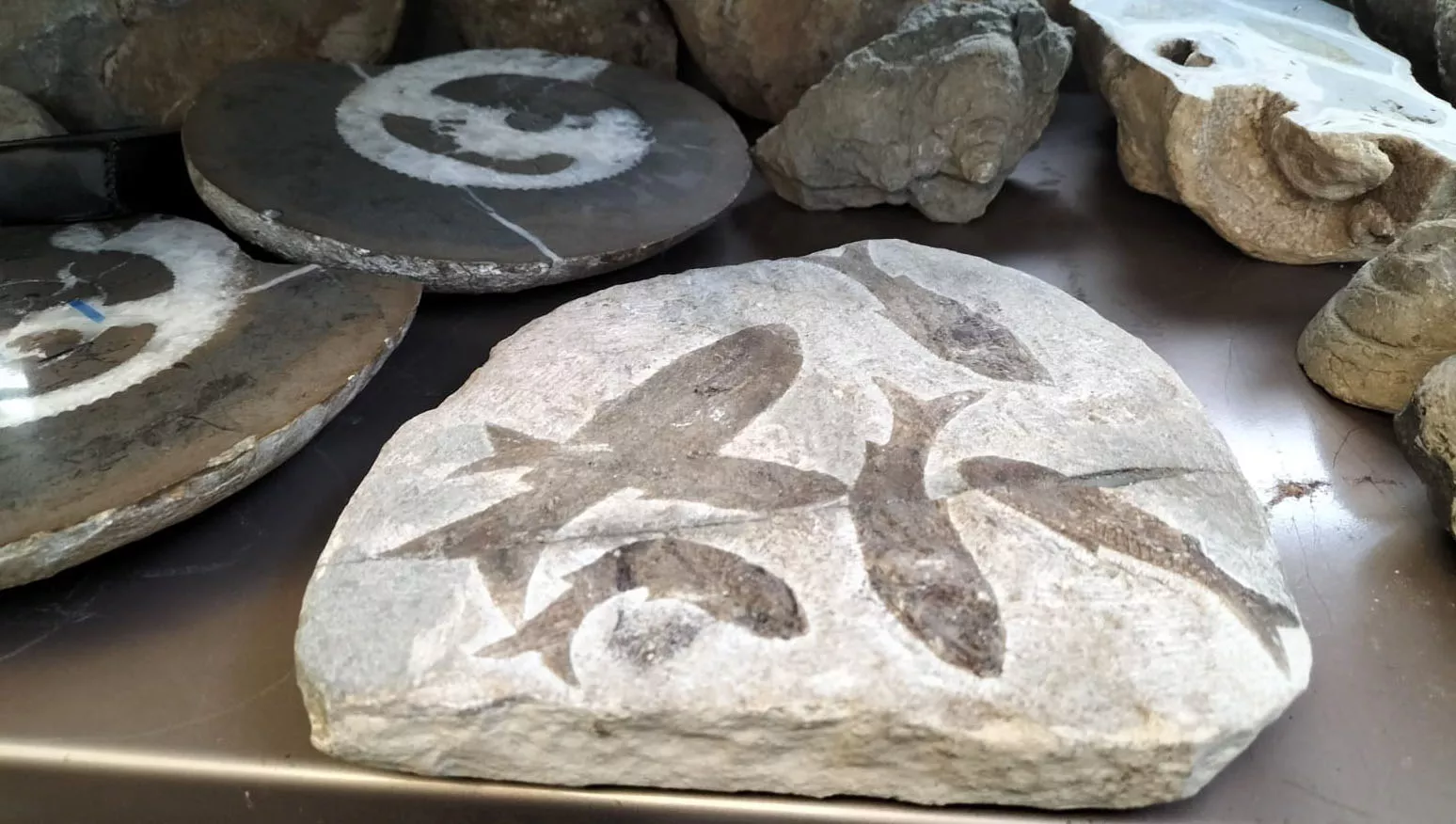 Museo de Adivinanzas. Foto María José Sampietro