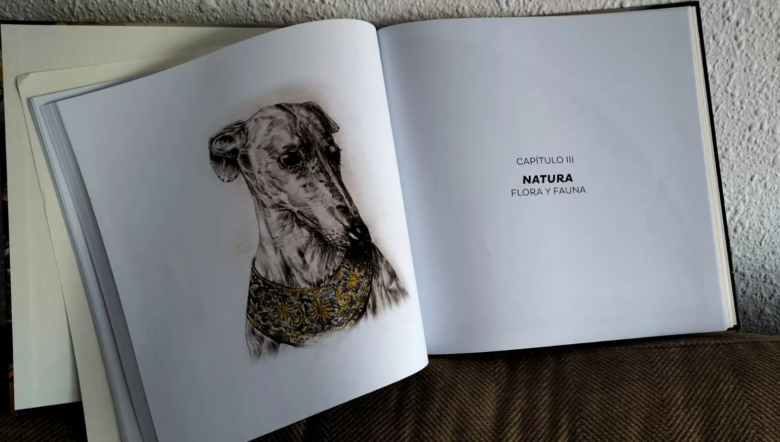 Museo de Adivinanzas. Foto María José Sampietro