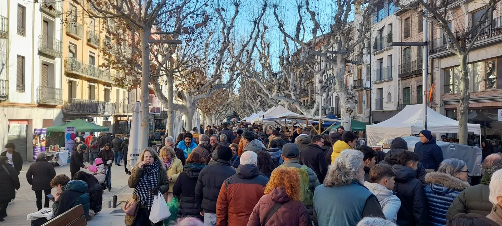 Feria de la Candelera en Barbastro.
