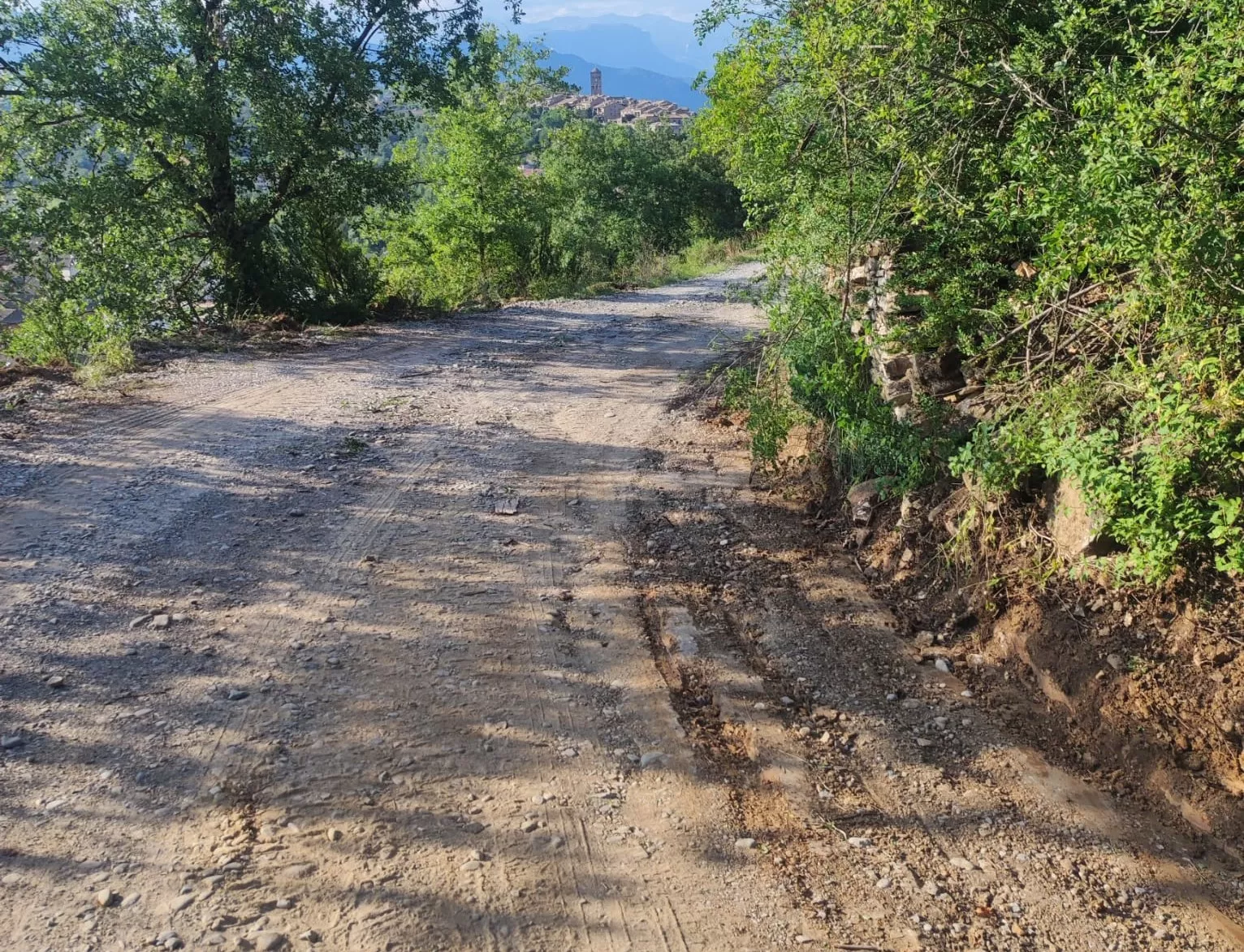 El PSOE pide a la DPH más inversión en caminos municipales de la provincia.