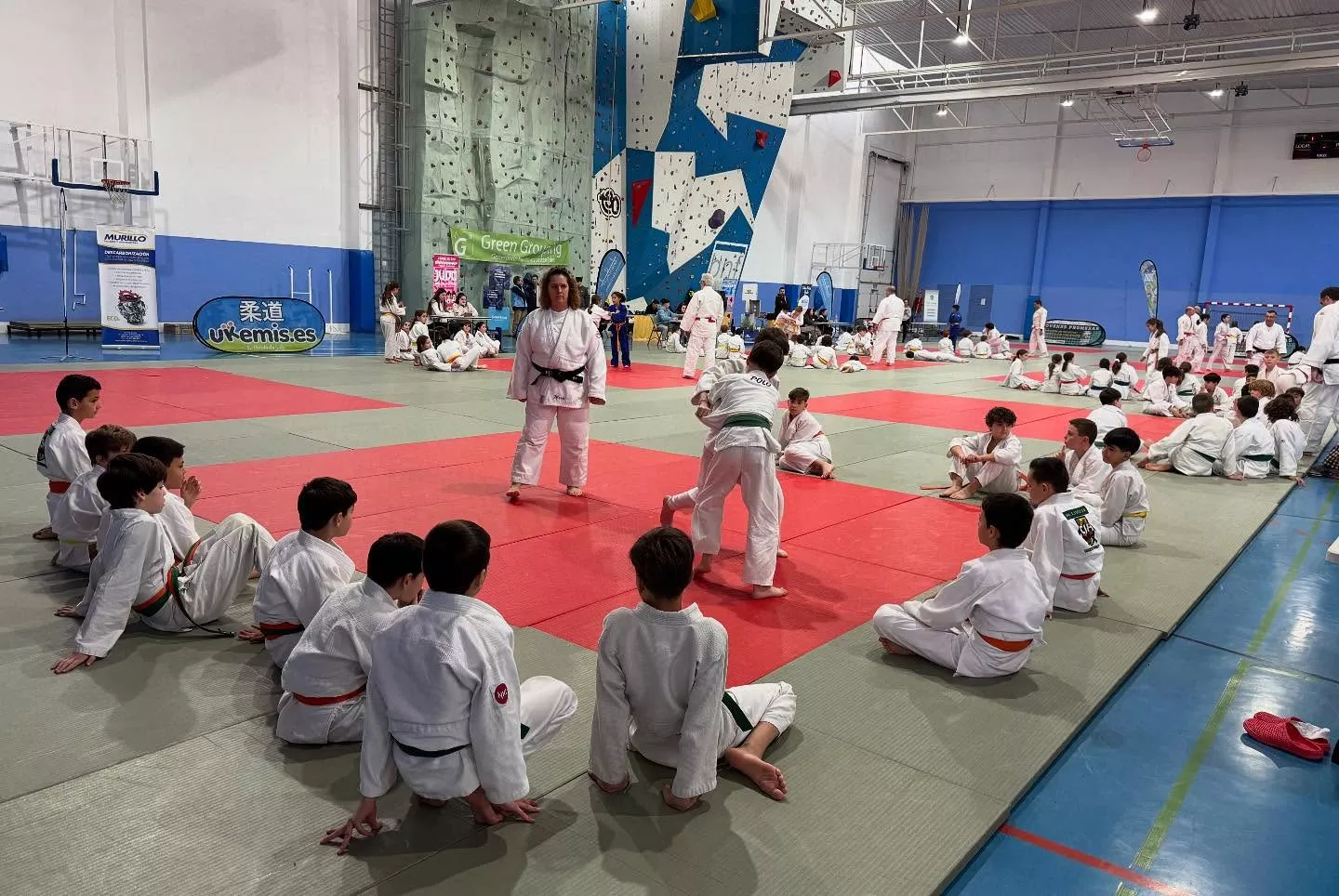 Supercopa España judo en Binéfar