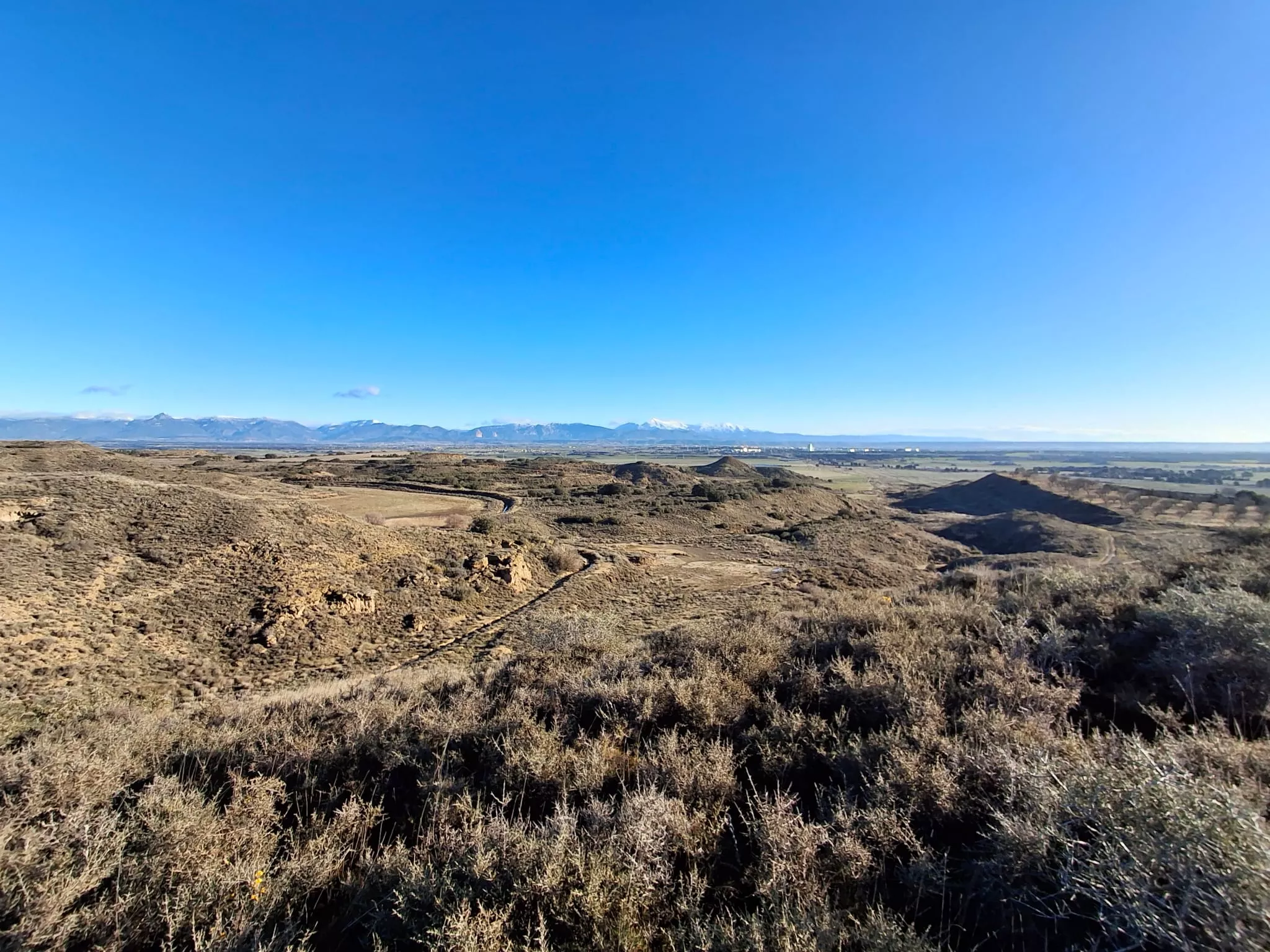 Peregrinos del cuarto entreno para la Javierada con 35 kilómetros bajo la aspiración de la Paciencia. Foto Felipe Munuera