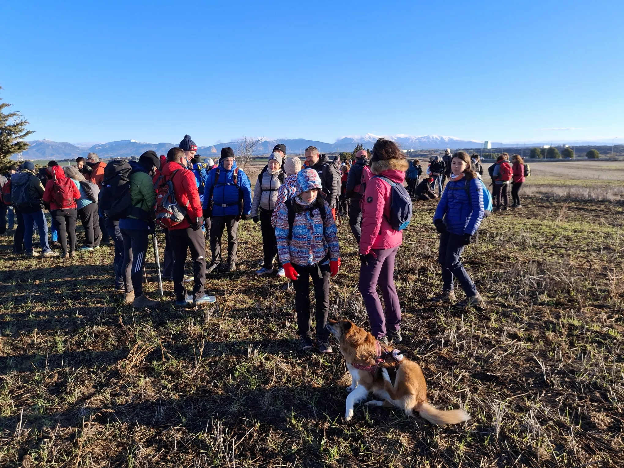 Peregrinos del cuarto entreno para la Javierada con 35 kilómetros bajo la aspiración de la Paciencia. Foto Felipe Munuera