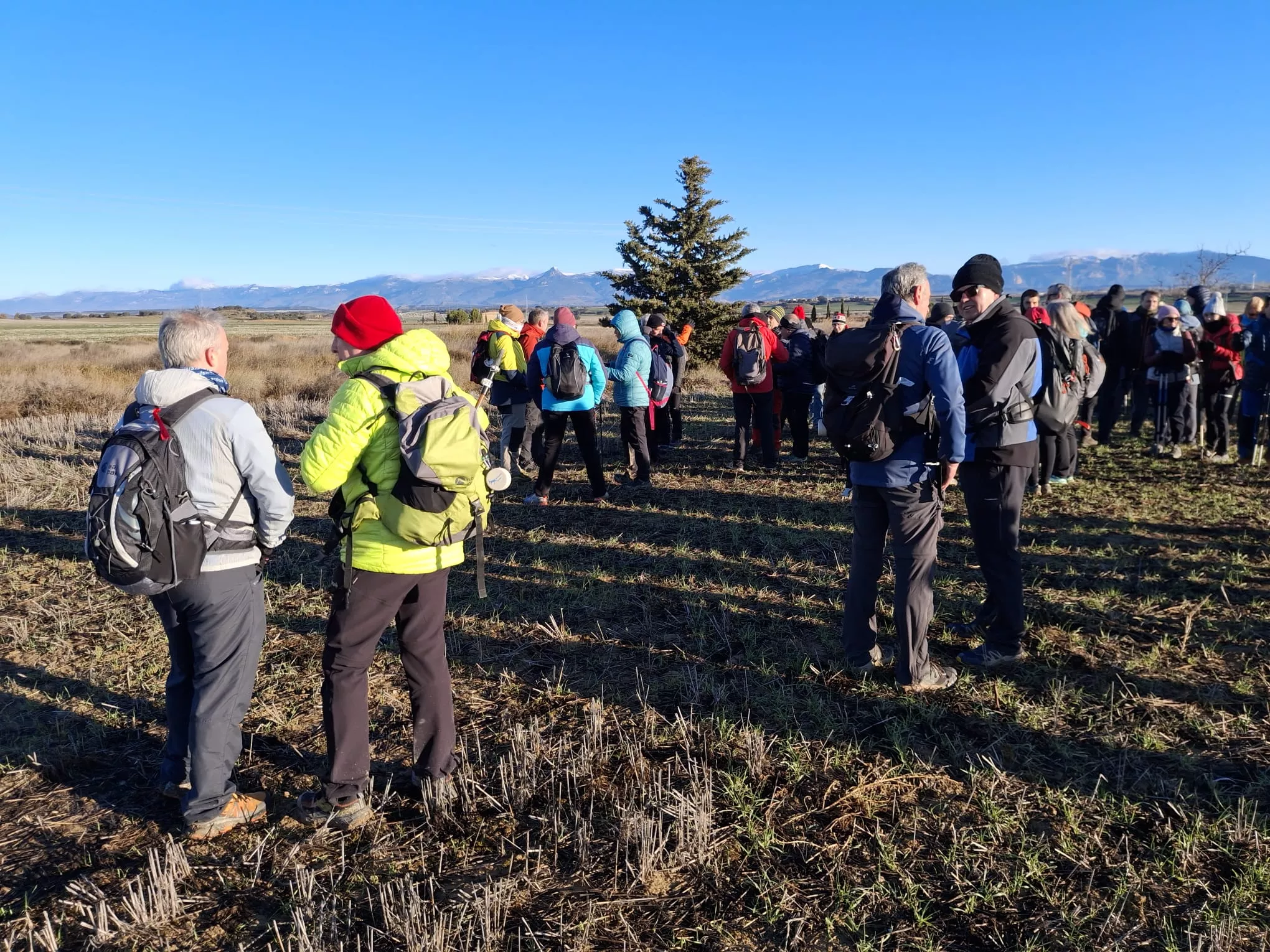 Peregrinos del cuarto entreno para la Javierada con 35 kilómetros bajo la aspiración de la Paciencia. Foto Felipe Munuera