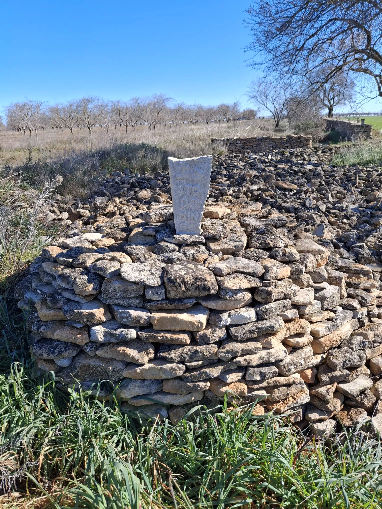 Peregrinos del cuarto entreno para la Javierada con 35 kilómetros bajo la aspiración de la Paciencia. Foto Felipe Munuera