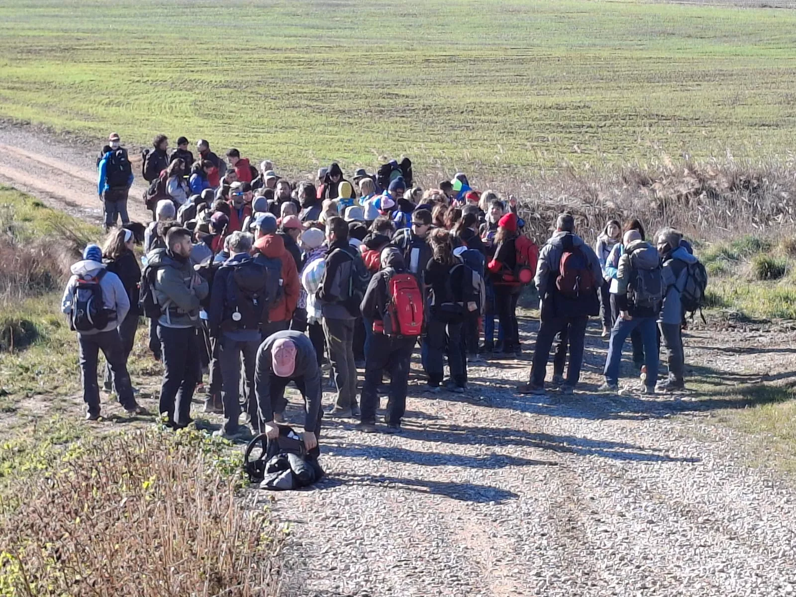 Peregrinos del cuarto entreno para la Javierada con 35 kilómetros bajo la aspiración de la Paciencia. Foto Felipe Munuera