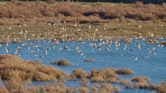 Imagen de la alberca de Alboré. Foto @huescanaturaleza Imagen de la alberca de Alboré. Foto @huescanaturaleza