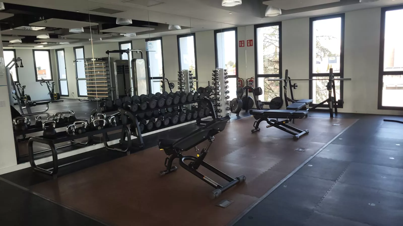 ESIC University, un gran salto en la institución educativa superior