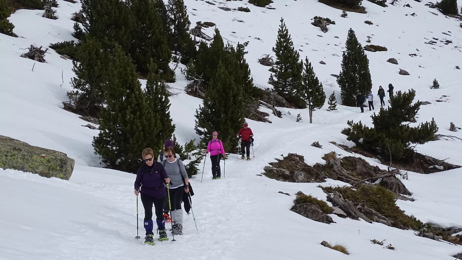 De regreso. Fotografía Alfredo Zazo