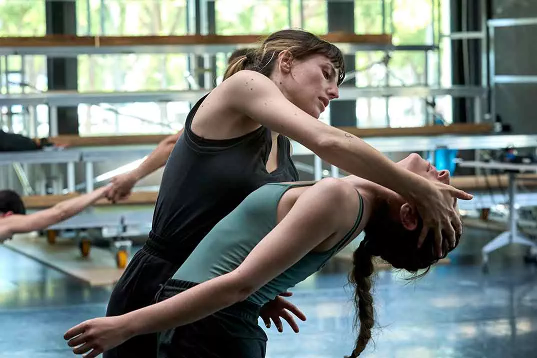 Desmontando un elefante.