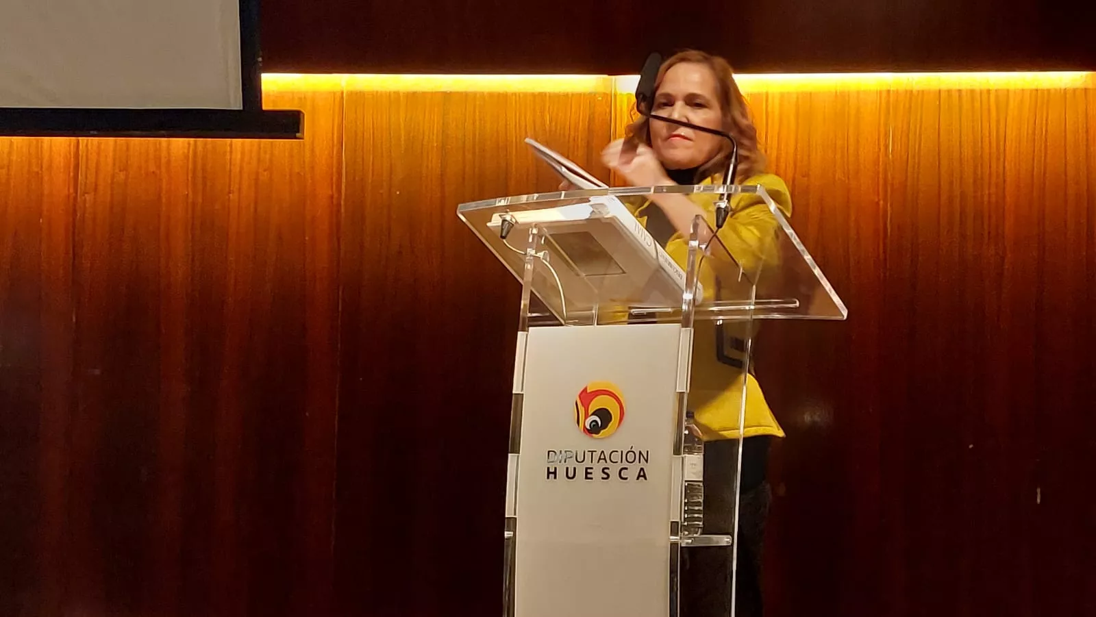 Conferencia Descubriendo a Cajal en la DPH