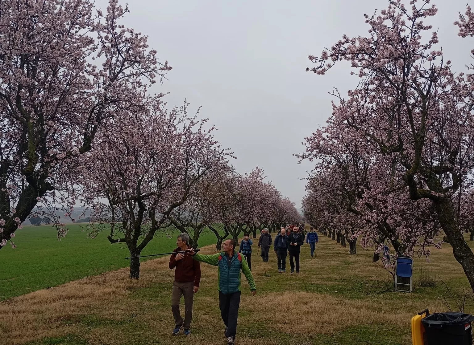 Jornada del sábado de la VIII Caminata en la Flor del Almendro de Ayerbe.