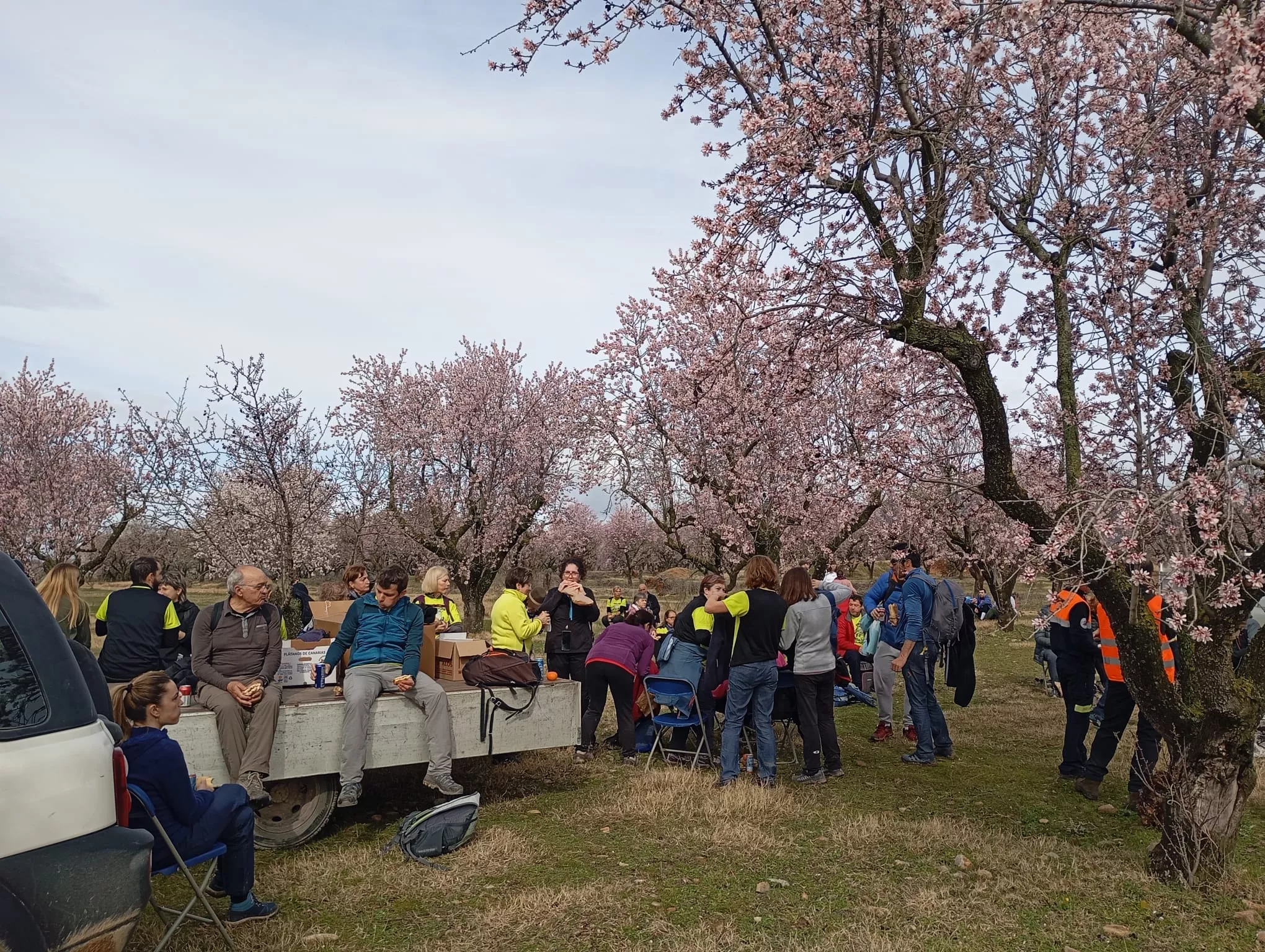 Jornada del sábado de la VIII Caminata en la Flor del Almendro de Ayerbe.