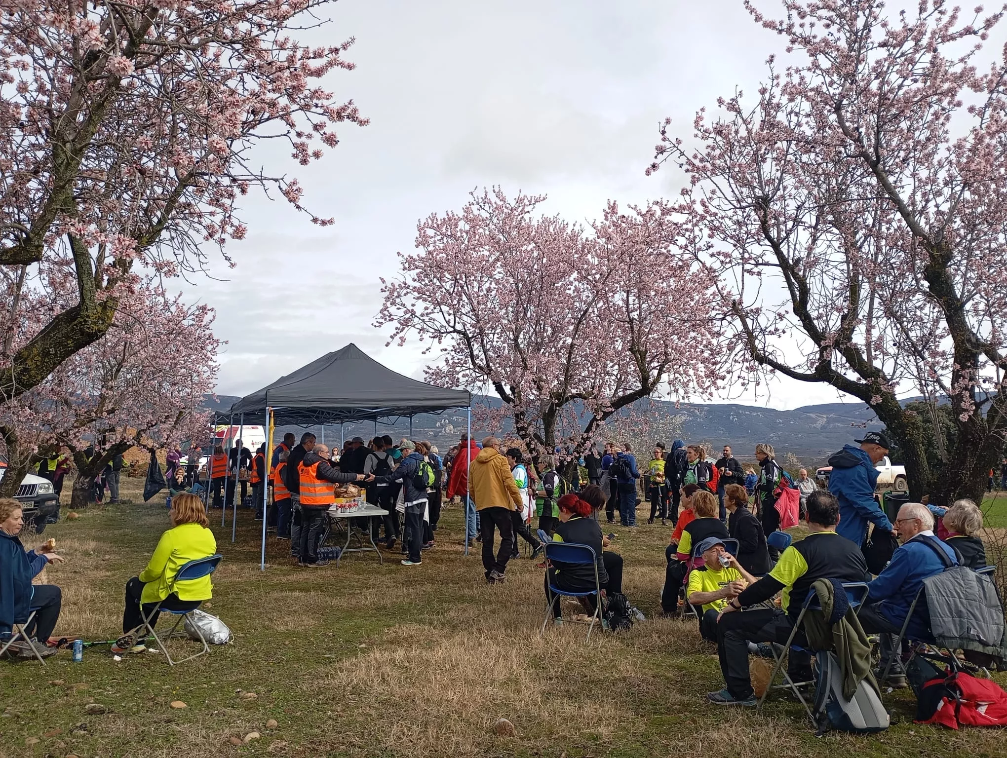 Jornada del sábado de la VIII Caminata en la Flor del Almendro de Ayerbe.