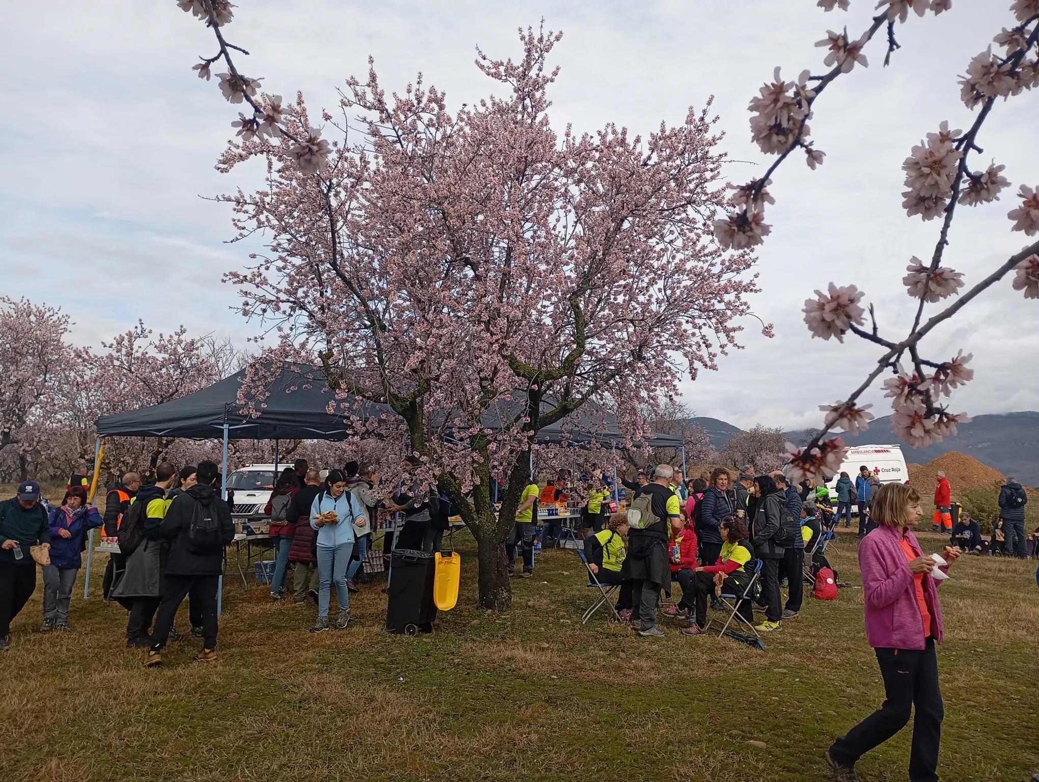 Jornada del sábado de la VIII Caminata en la Flor del Almendro de Ayerbe.