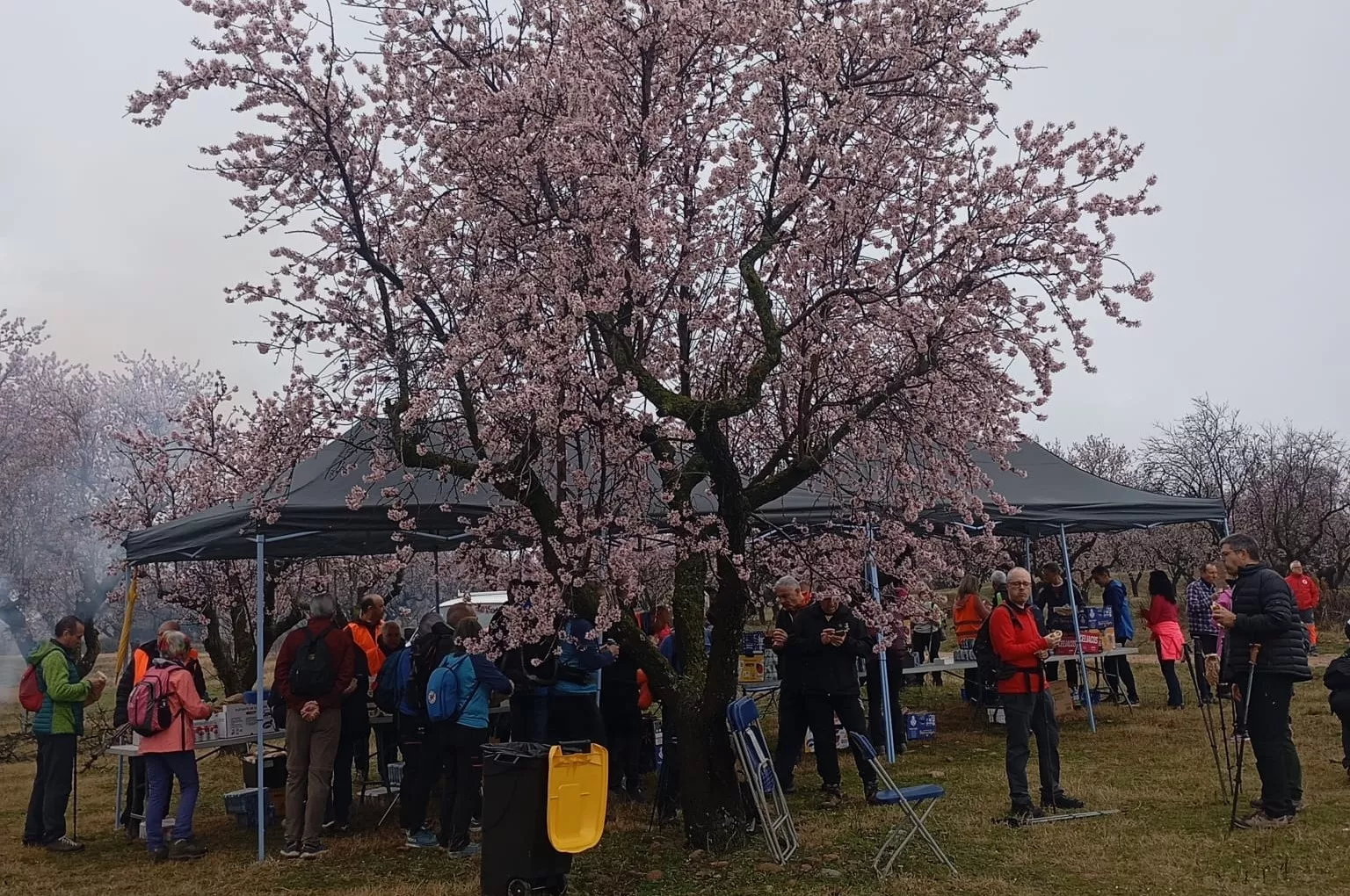 Jornada del sábado de la VIII Caminata en la Flor del Almendro de Ayerbe.