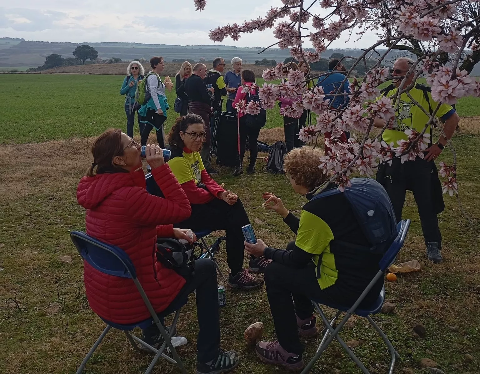 Jornada del sábado de la VIII Caminata en la Flor del Almendro de Ayerbe.