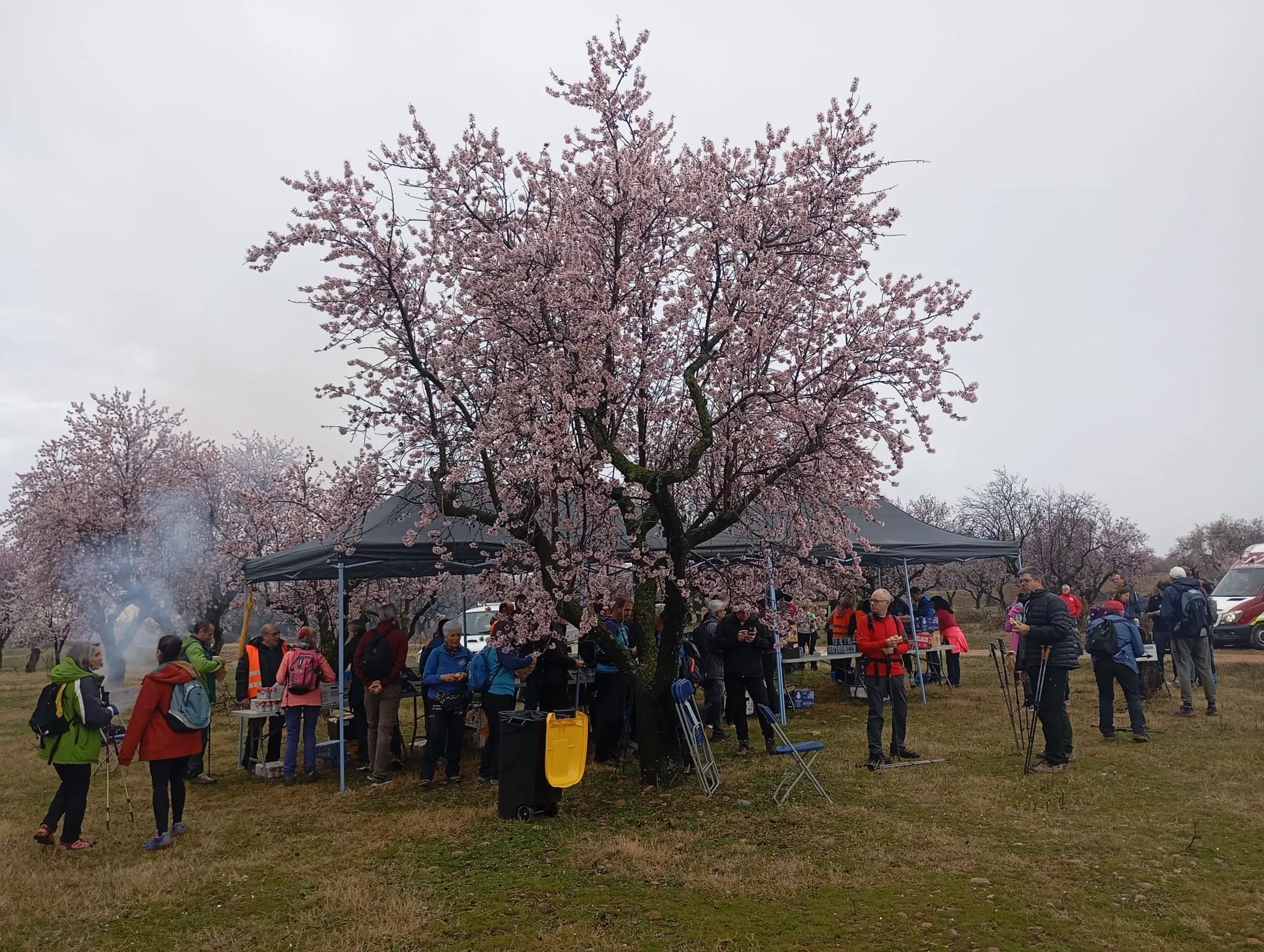 Jornada del sábado de la VIII Caminata en la Flor del Almendro de Ayerbe.