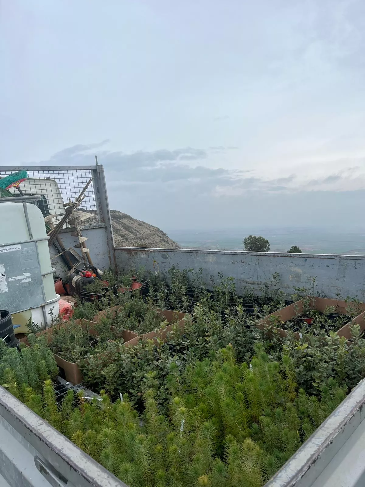 Tercera Edición del Día del Árbol en Robres. 