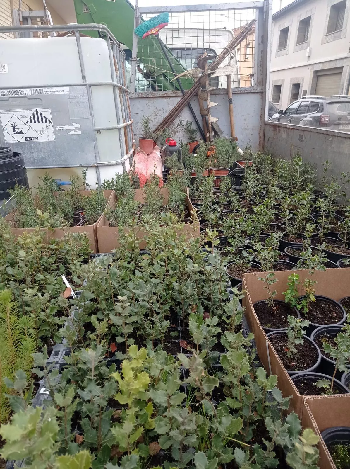 Tercera Edición del Día del Árbol en Robres. 