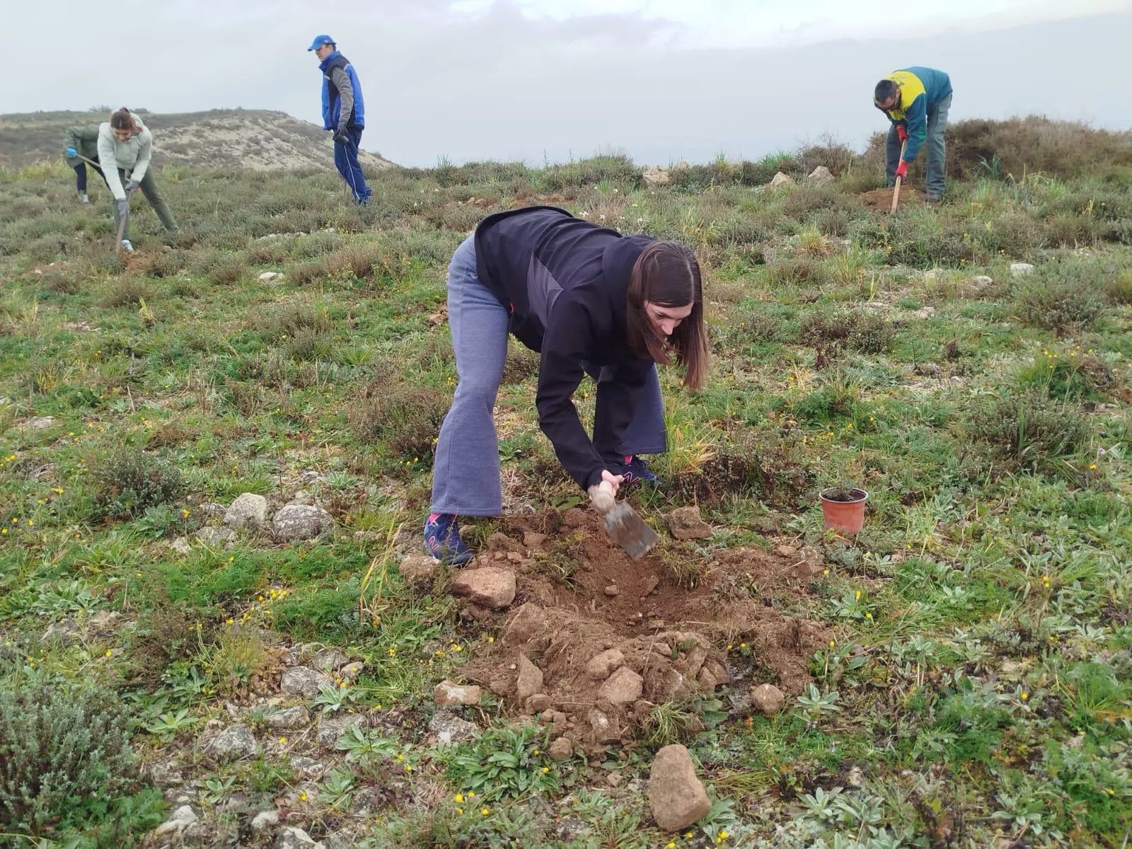 Tercera Edición del Día del Árbol en Robres. 