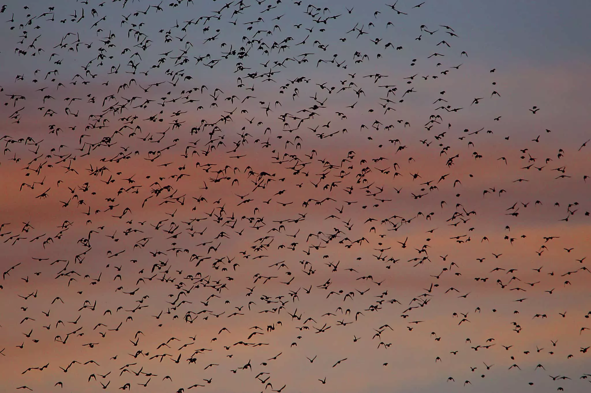 Imagen tomada por Antonio García Serrano en el Pirineo.