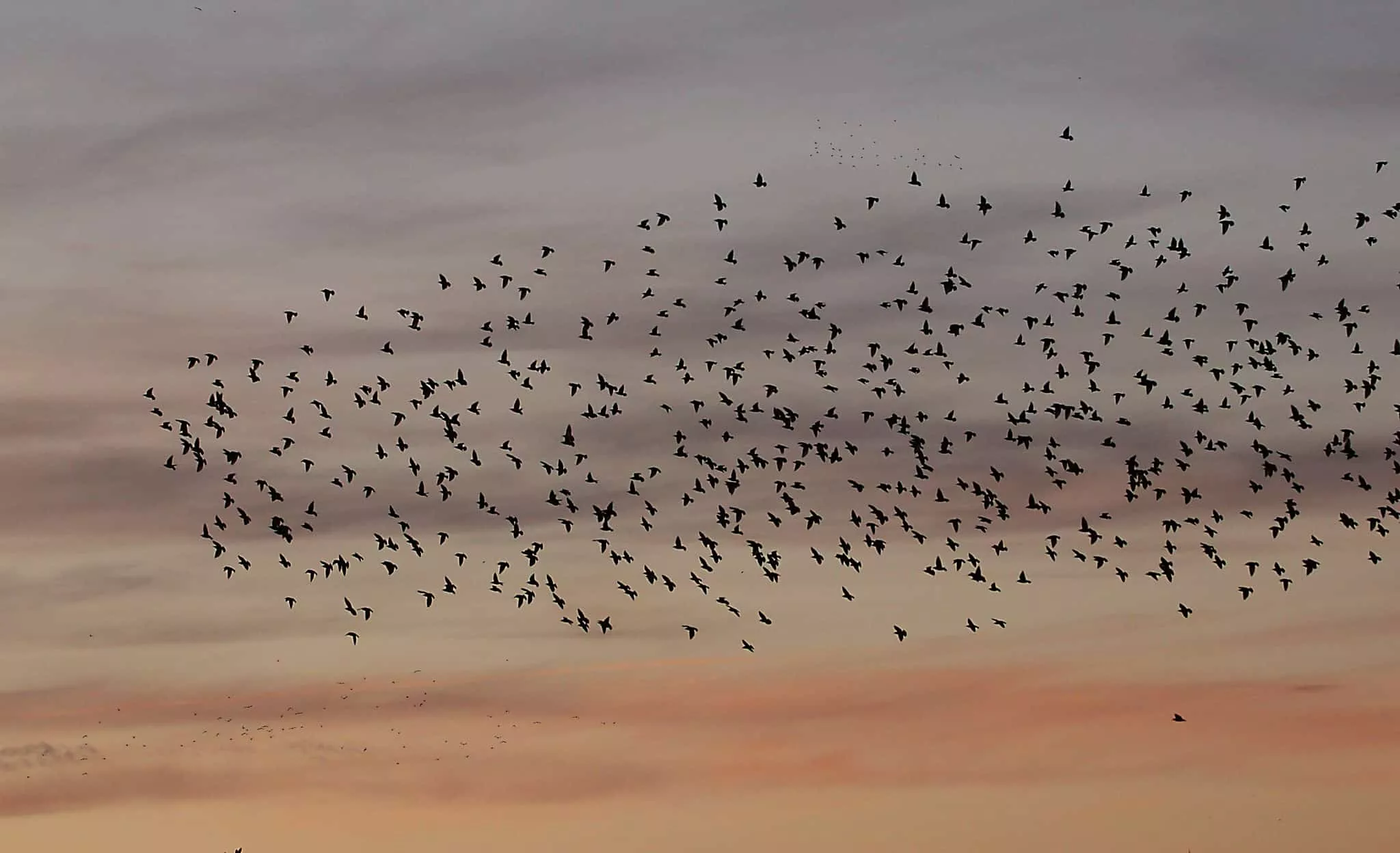 Imagen tomada por Antonio García Serrano en el Pirineo.