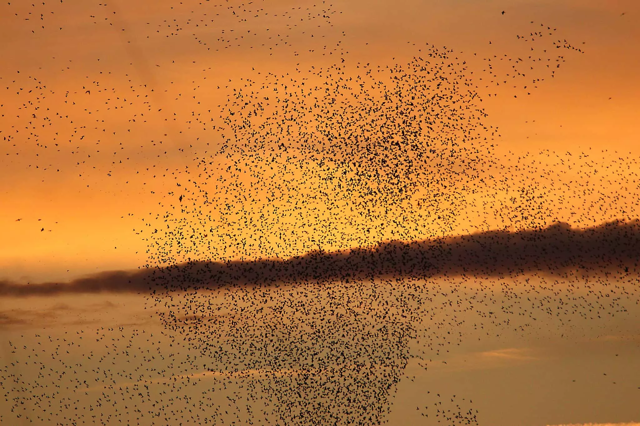 Imagen tomada por Antonio García Serrano en el Pirineo.