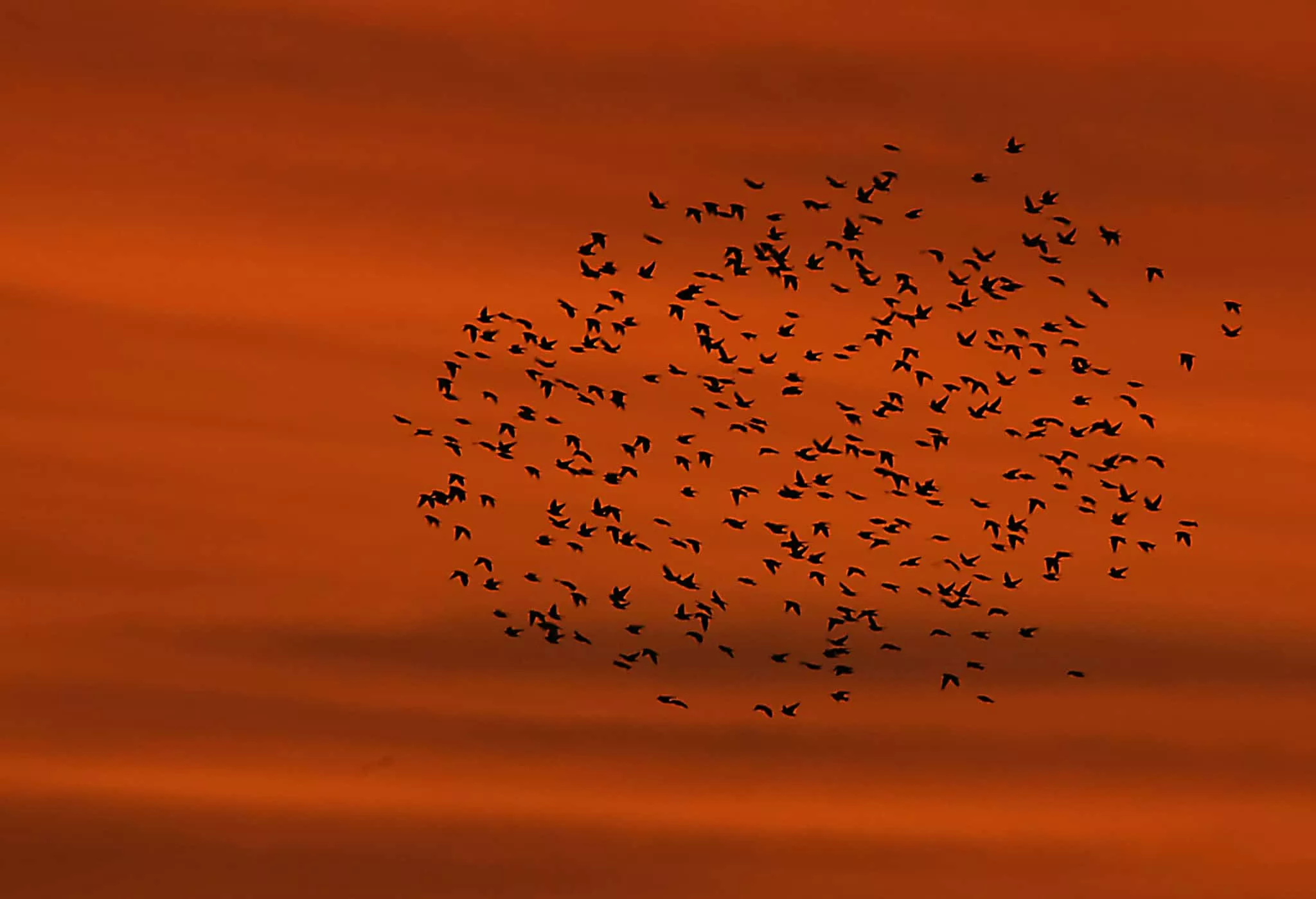 Imagen tomada por Antonio García Serrano en el Pirineo.