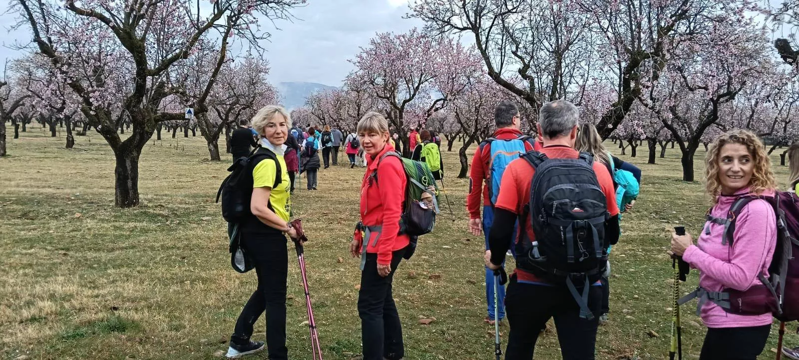 Jornada del domingo de la VIII Caminata en la Flor del Almendro de Ayerbe.