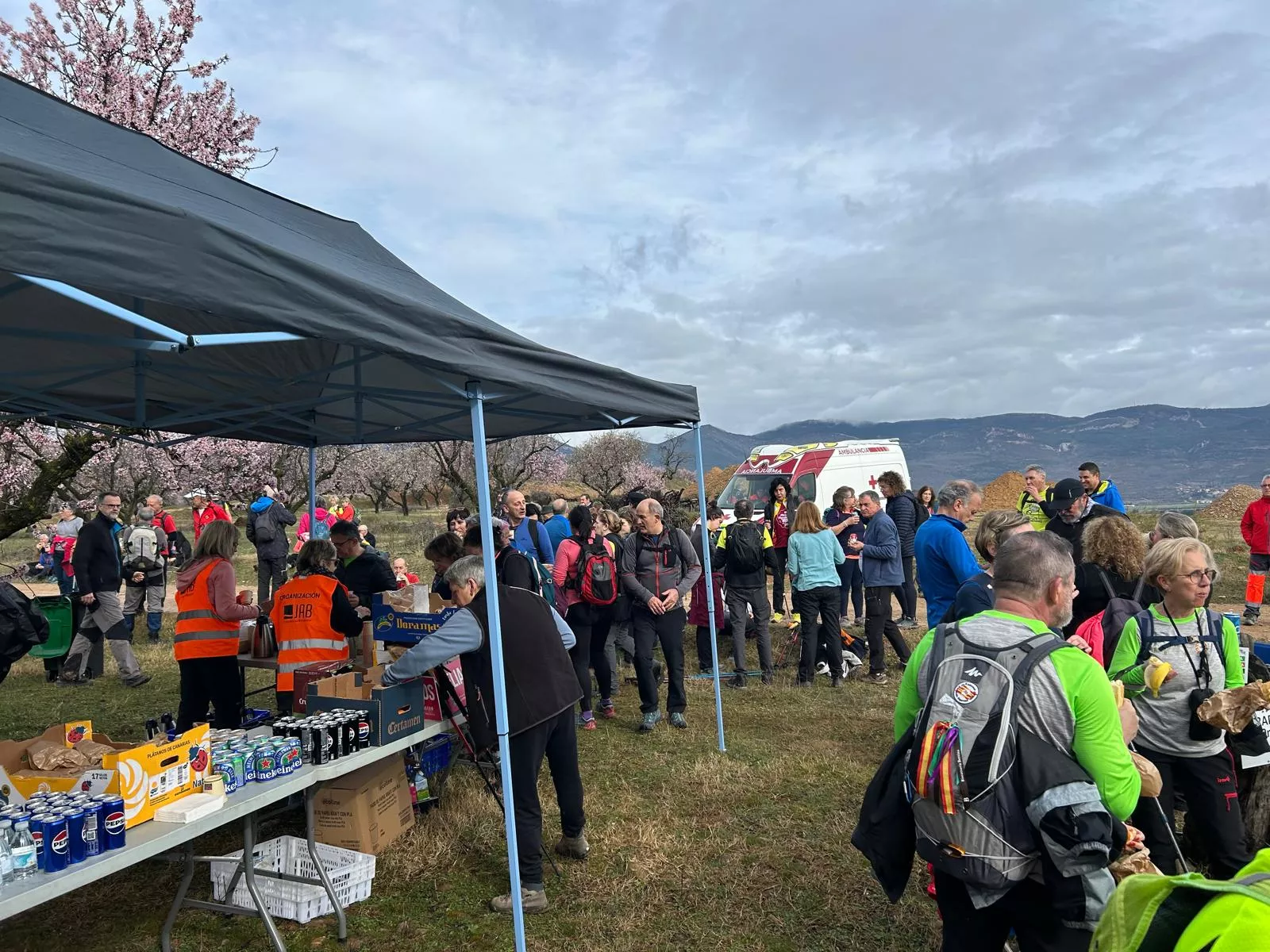 Jornada del domingo de la VIII Caminata en la Flor del Almendro de Ayerbe.