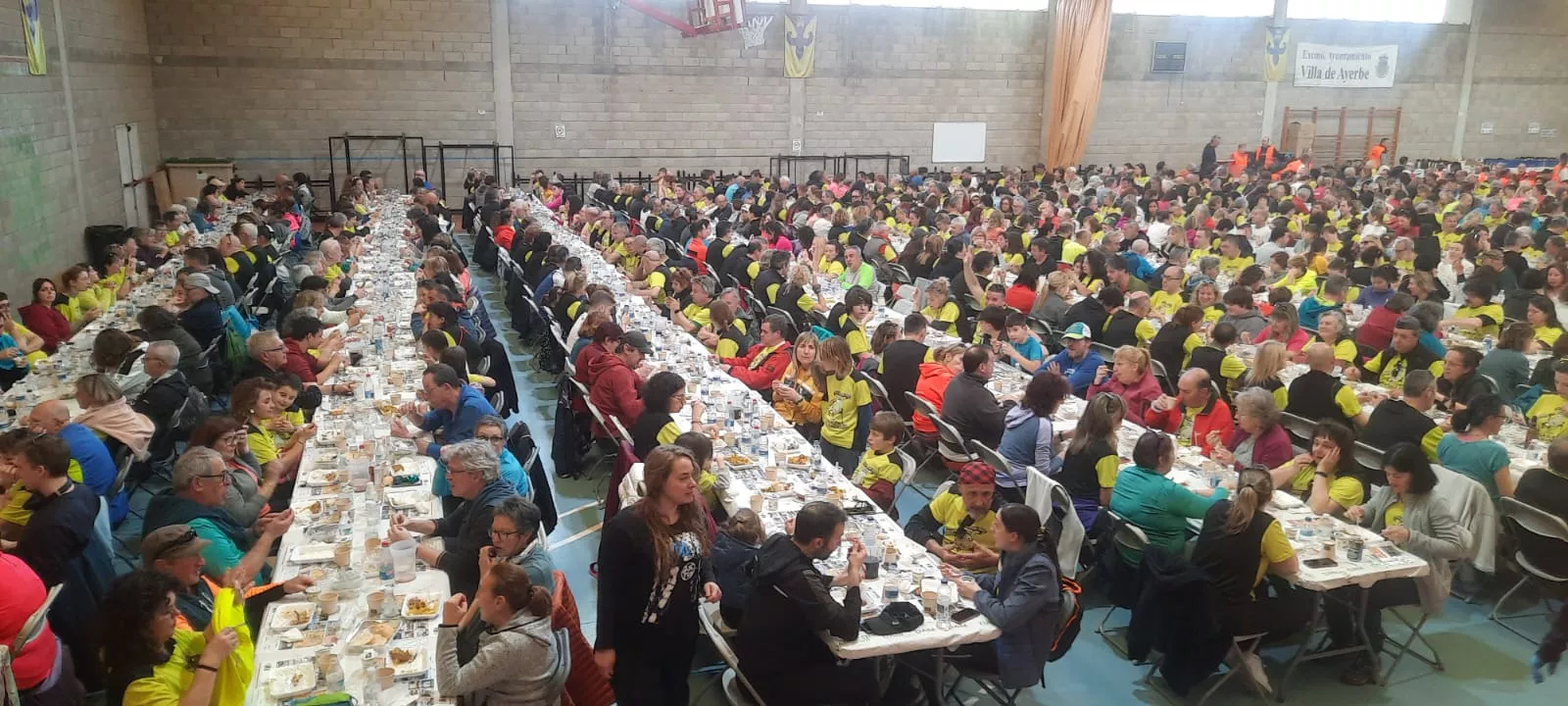 Jornada del domingo de la VIII Caminata en la Flor del Almendro de Ayerbe.