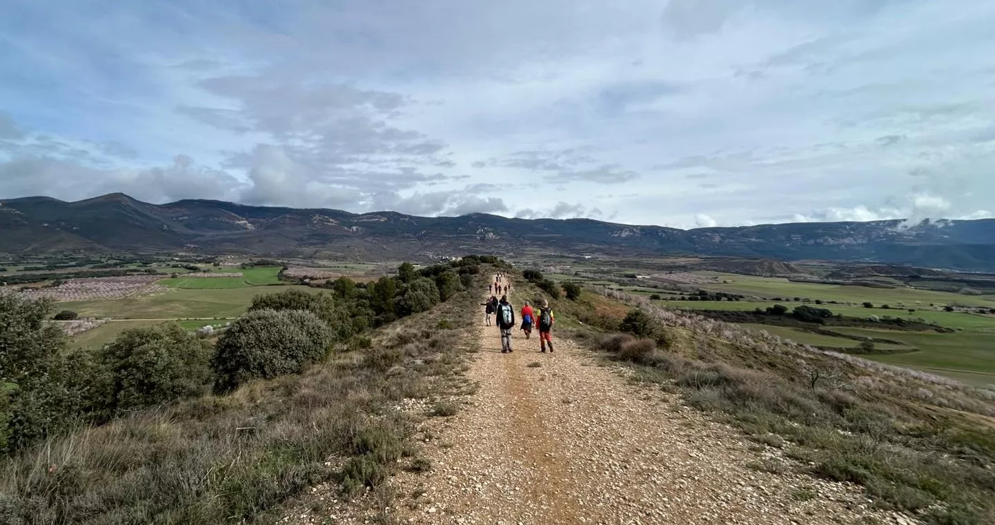 Jornada del domingo de la VIII Caminata en la Flor del Almendro de Ayerbe.