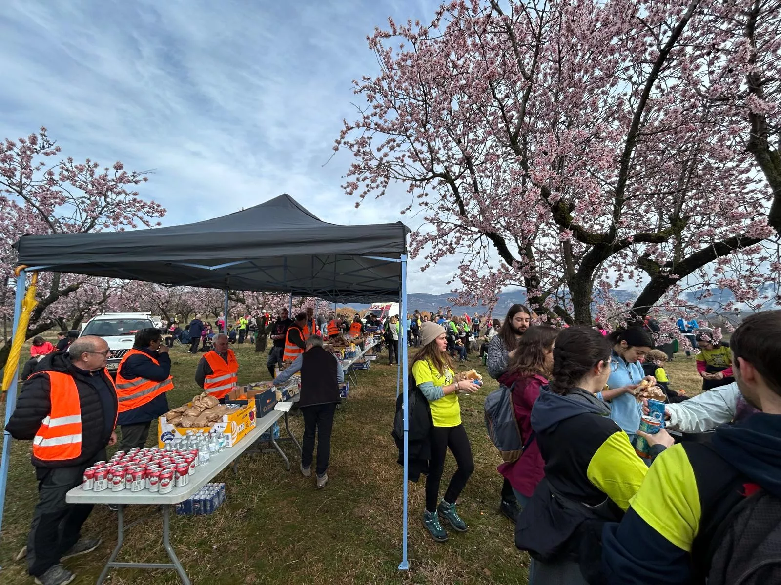 Jornada del domingo de la VIII Caminata en la Flor del Almendro de Ayerbe.