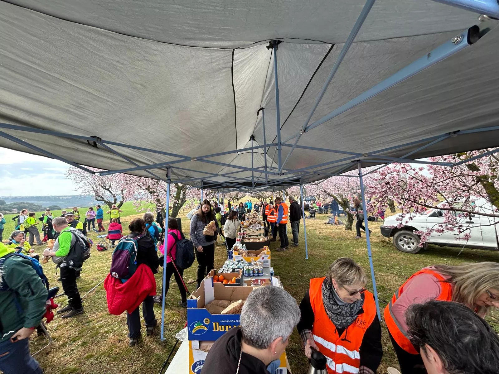Jornada del domingo de la VIII Caminata en la Flor del Almendro de Ayerbe.