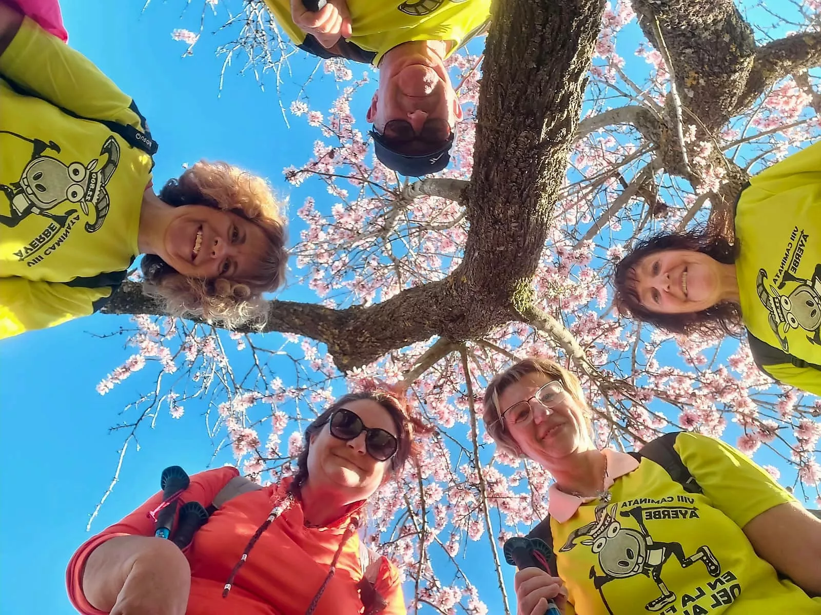 Jornada del domingo de la VIII Caminata en la Flor del Almendro de Ayerbe.