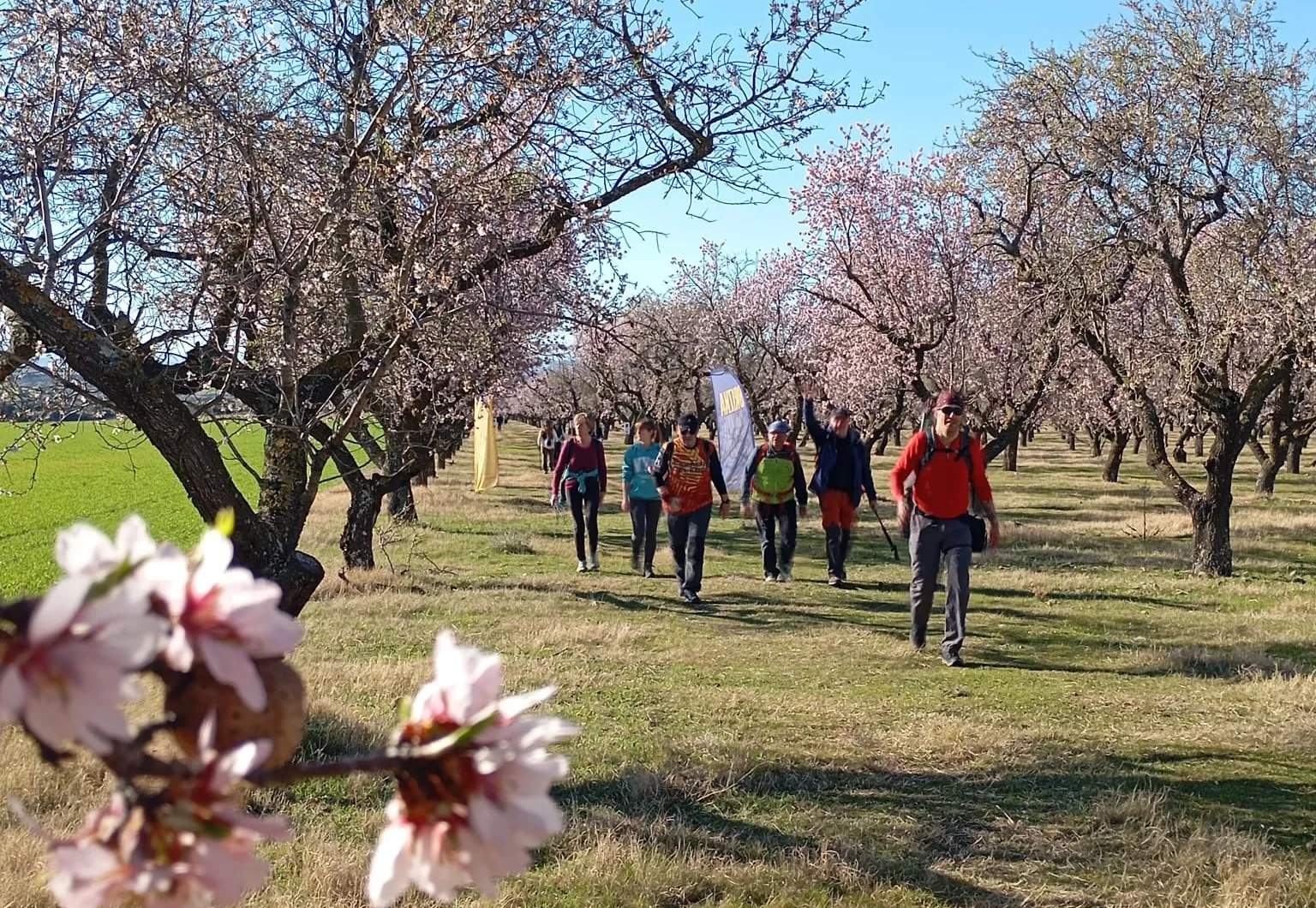 Jornada del domingo de la VIII Caminata en la Flor del Almendro de Ayerbe.