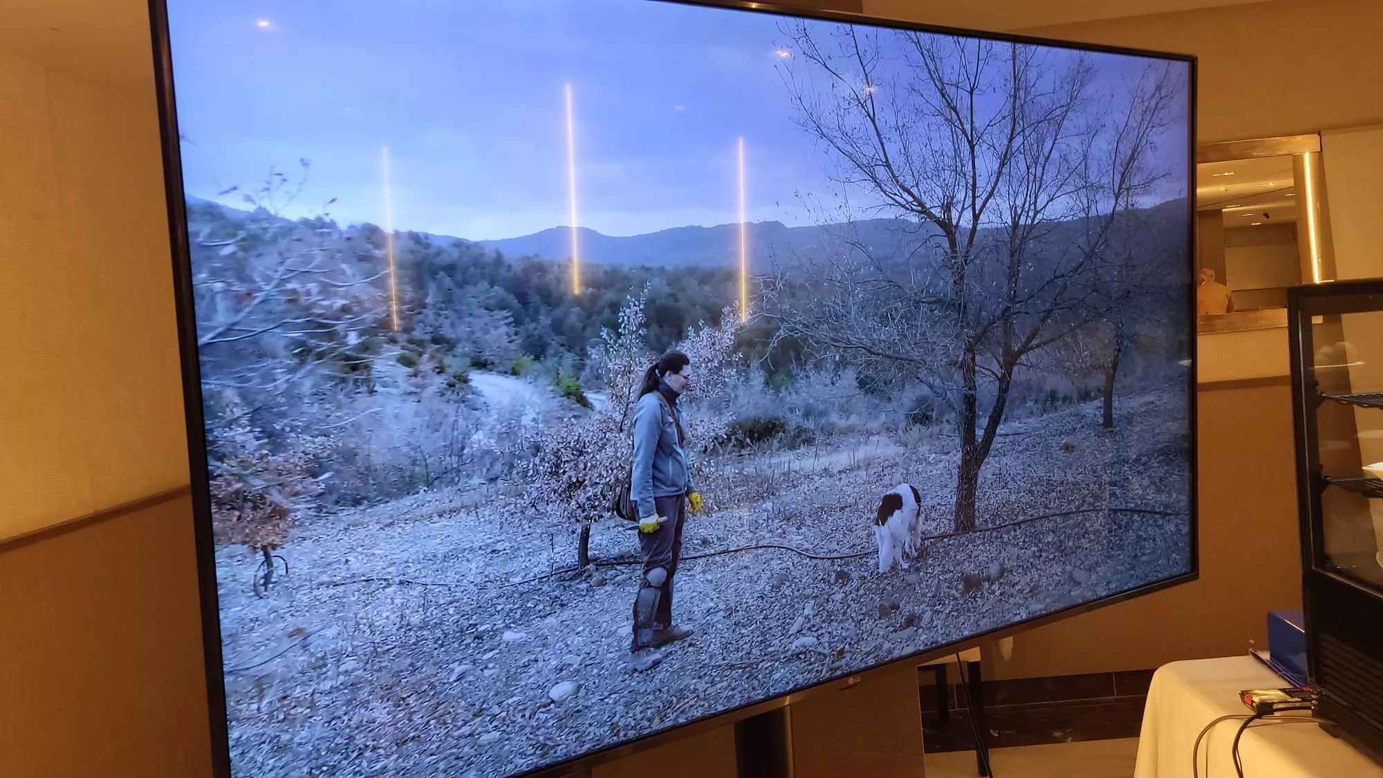 Mercado de la Trufa y el concurso provincial Trúfate en el Hotel Pedro I de Huesca