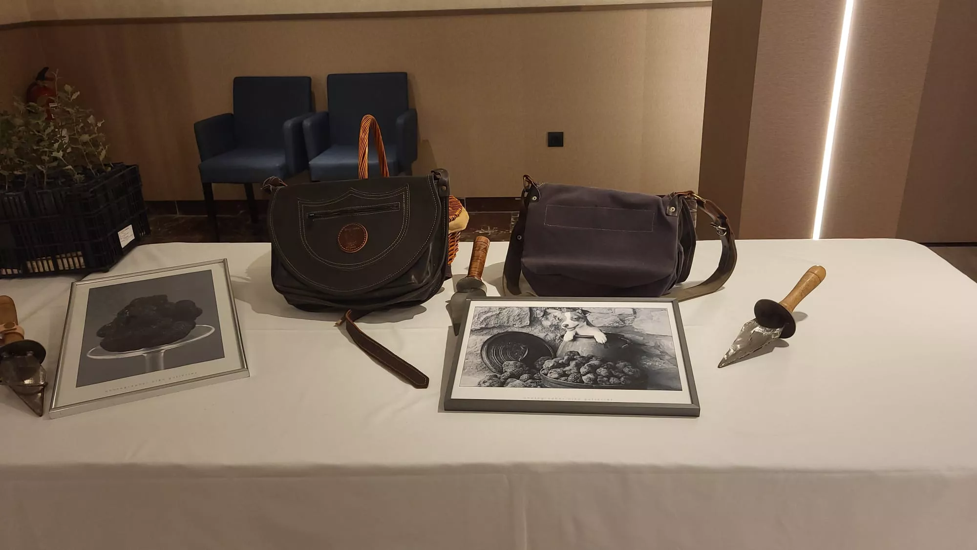 Mercado de la Trufa y el concurso provincial Trúfate en el Hotel Pedro I de Huesca