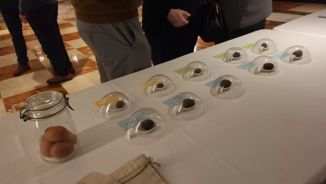 Mercado de la Trufa y el concurso provincial Trúfate en el Hotel Pedro I de Huesca Mercado de la Trufa y el concurso provincial Trúfate en el Hotel Pedro I de Huesca